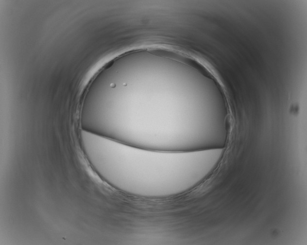 X0000112971101200908270937