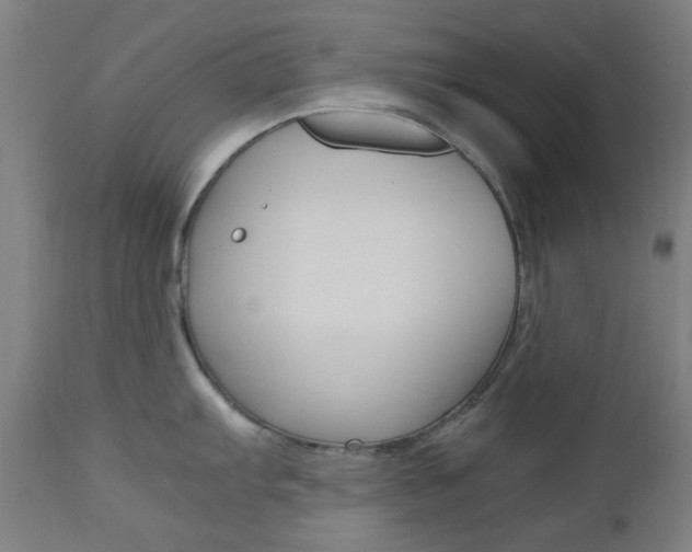 X0000112971103200908270937