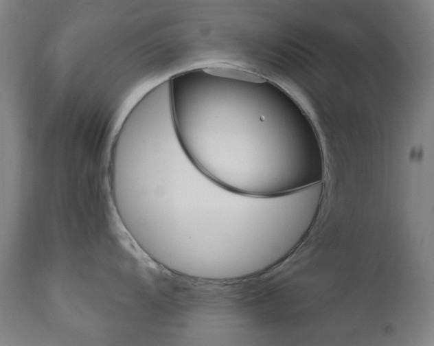X0000112971104200908270937