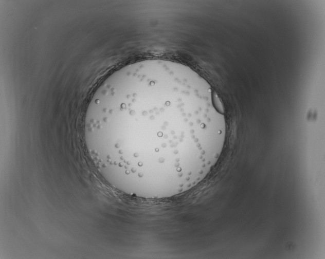 X0000112971105200908270936