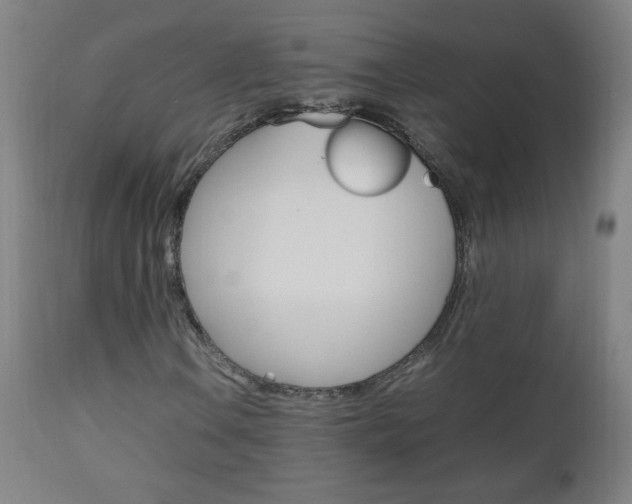 X0000112971106200908270936