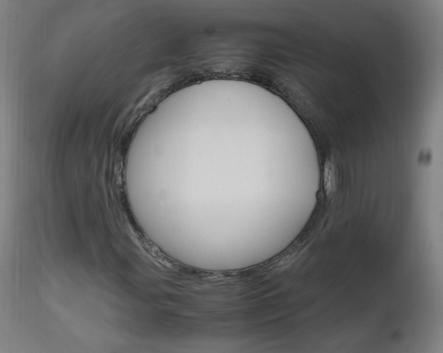 X0000112971107200908270936
