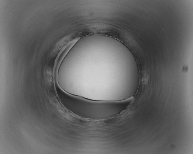 X0000112971108200908270936