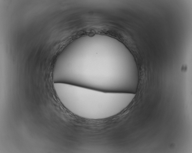 X0000112971109200908270936