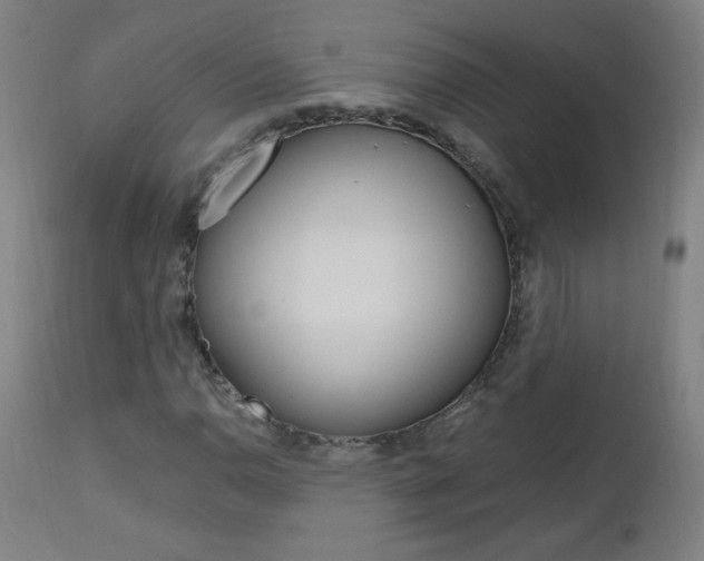 X0000112971110200908270936