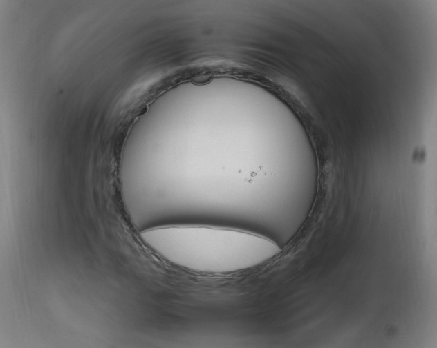 X0000112971111200908270936