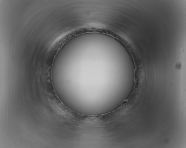 X0000112971112200908270936