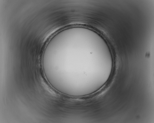 X0000112971113200908270936