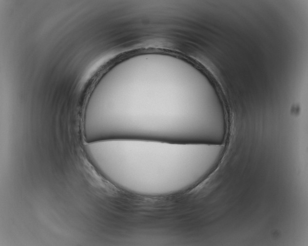 X0000112971115200908270936
