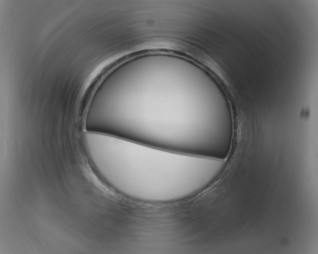 X0000112971116200908270936