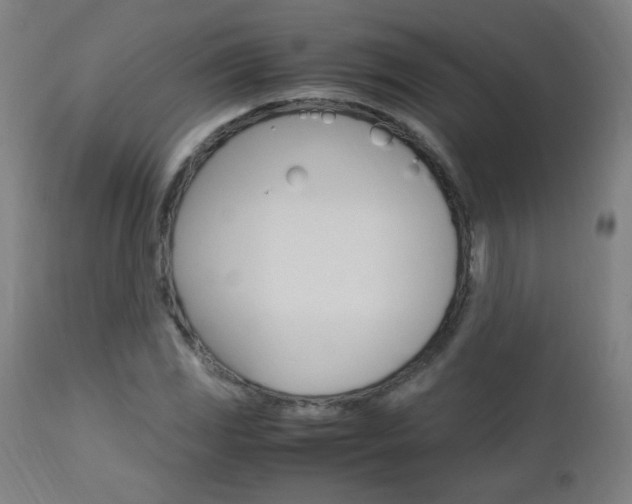X0000112971117200908270936