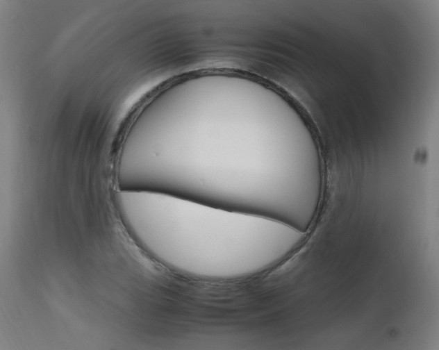 X0000112971119200908270936