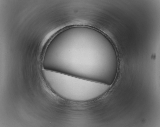 X0000112971120200908270937