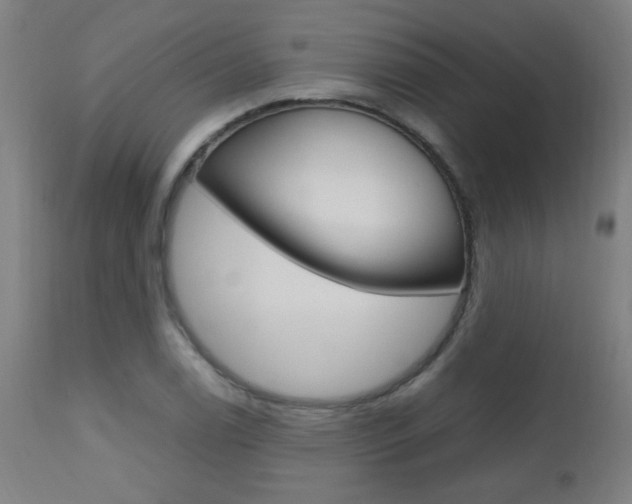 X0000112971122200908270937