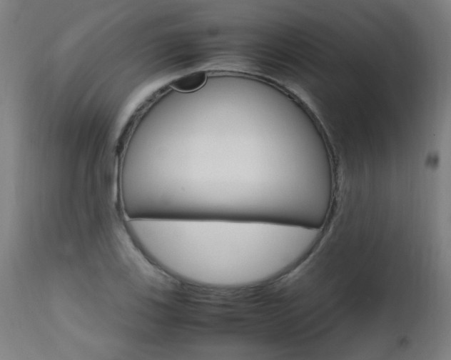 X0000112971123200908270937