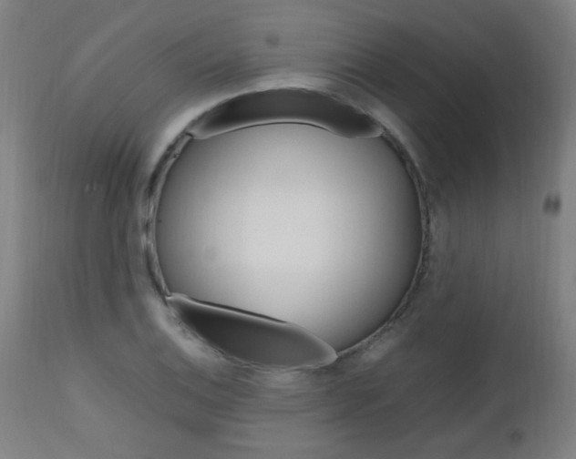 X0000112971124200908270937