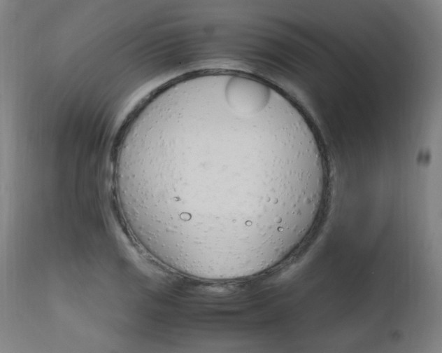X0000112971125200908270937