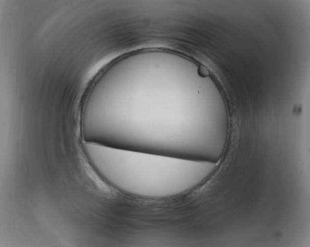 X0000112971127200908270937