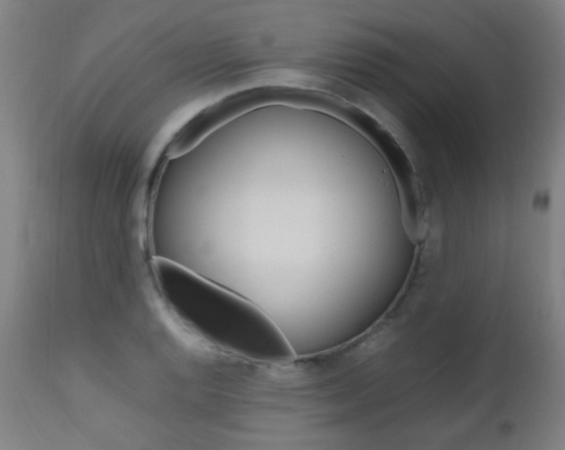 X0000112971128200908270937