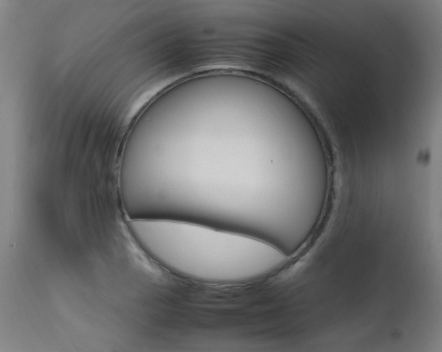 X0000112971129200908270937