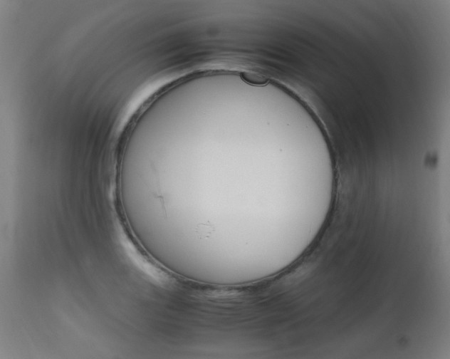 X0000112971131200908270937