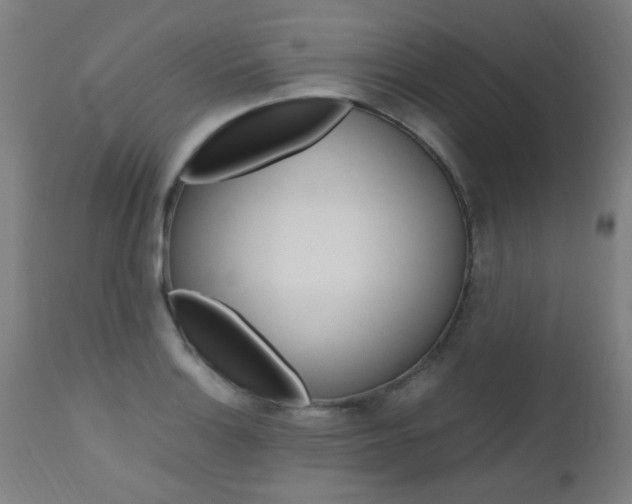 X0000112971132200908270937