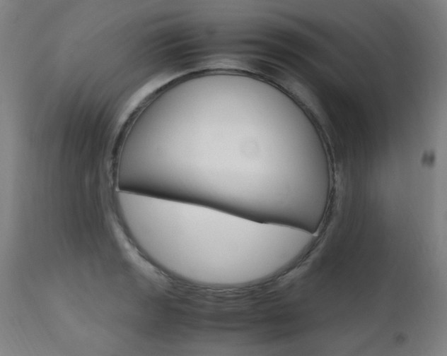 X0000112971133200908270937