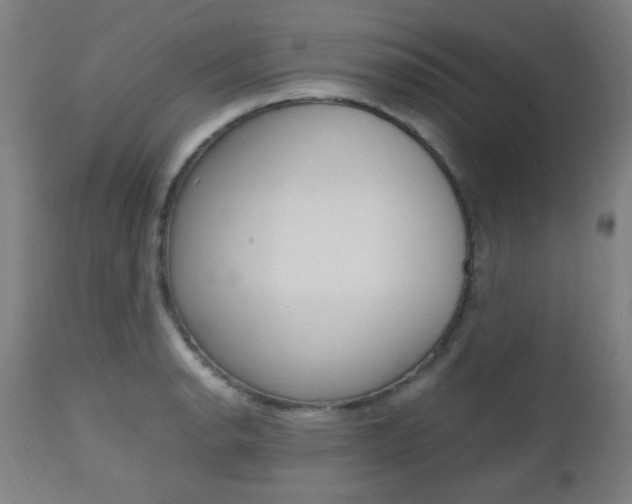 X0000112971134200908270937