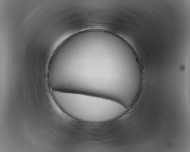 X0000112971135200908270937
