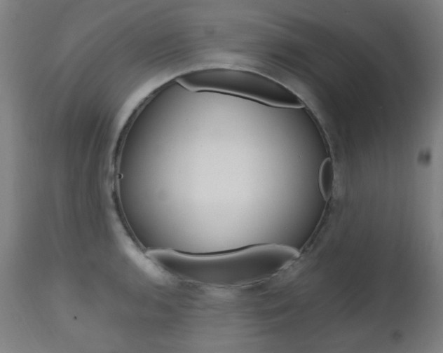 X0000112971136200908270937