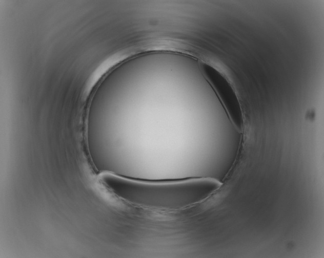 X0000112971138200908270937