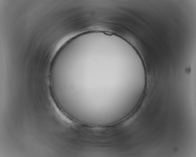 X0000112971141200908270937