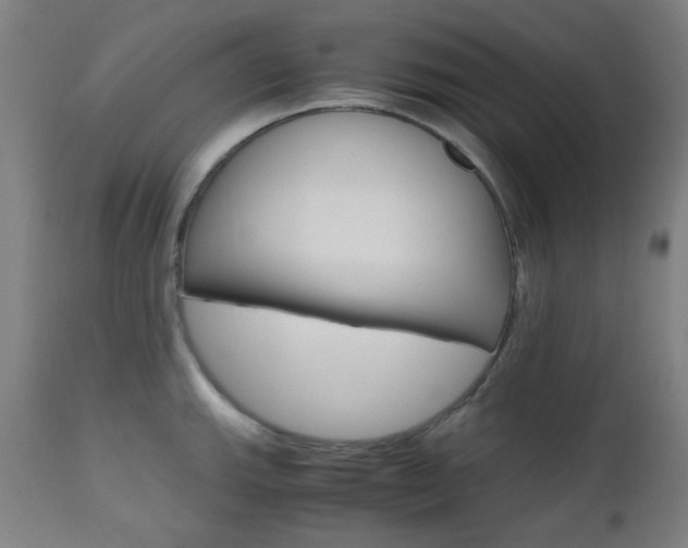 X0000112971143200908270937