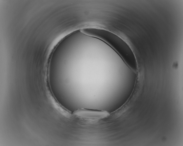 X0000112971144200908270937