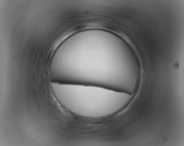 X0000112971145200908270937