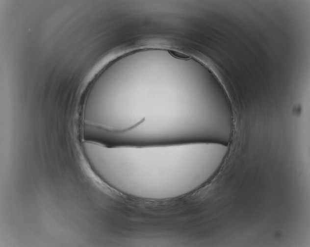 X0000112971147200908270937