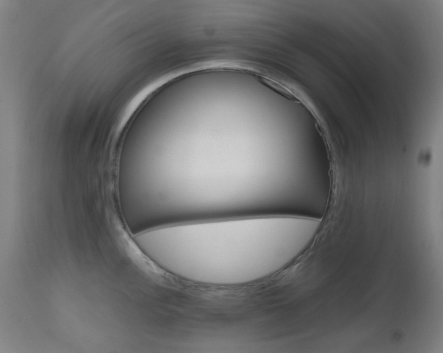 X0000112971148200908270937