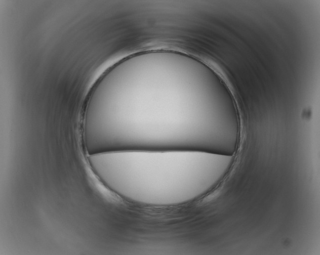 X0000112971149200908270937