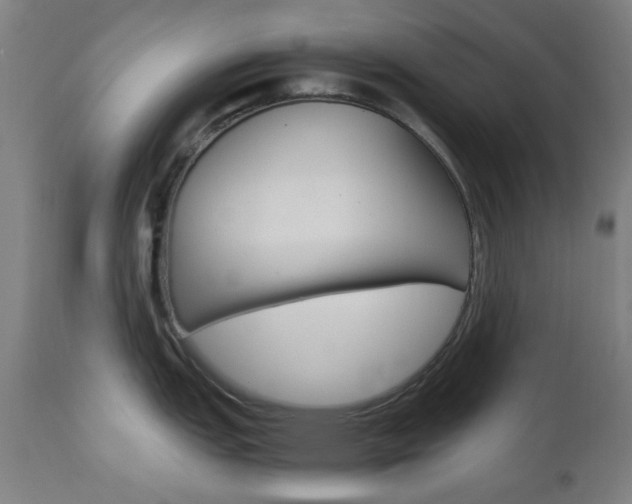 X0000112971151200908270937