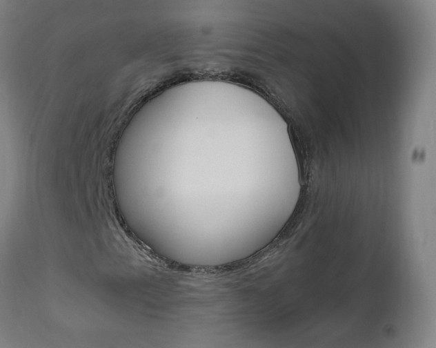 X0000112971153200908270936