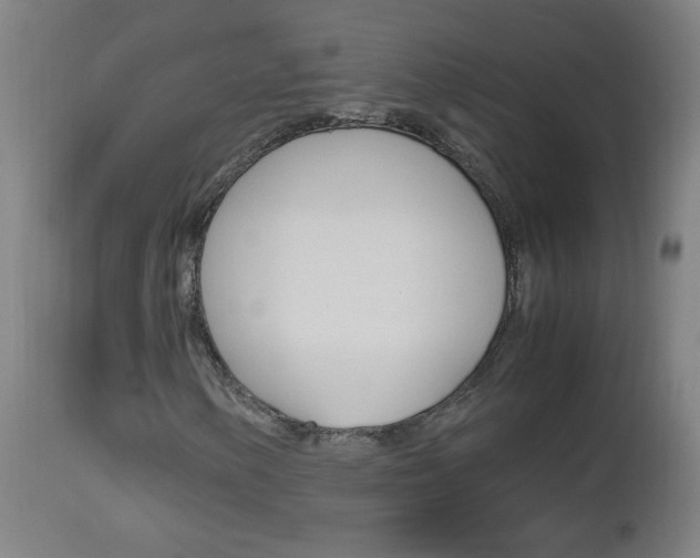 X0000112971154200908270936