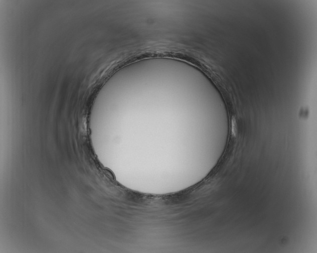 X0000112971155200908270936