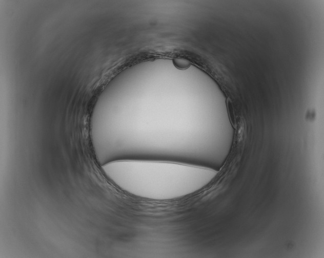 X0000112971156200908270936