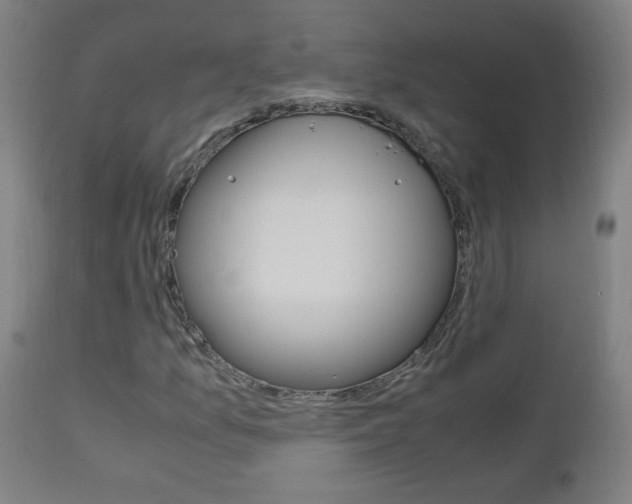 X0000112971157200908270936
