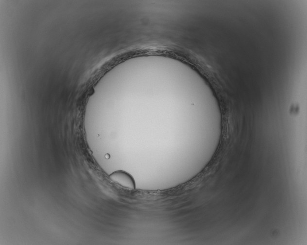 X0000112971158200908270936