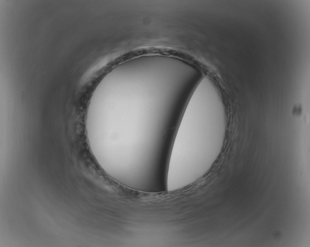 X0000112971159200908270936