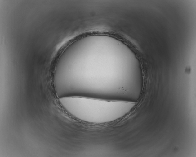 X0000112971160200908270936