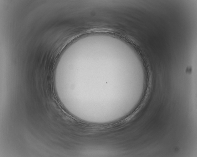 X0000112971161200908270936