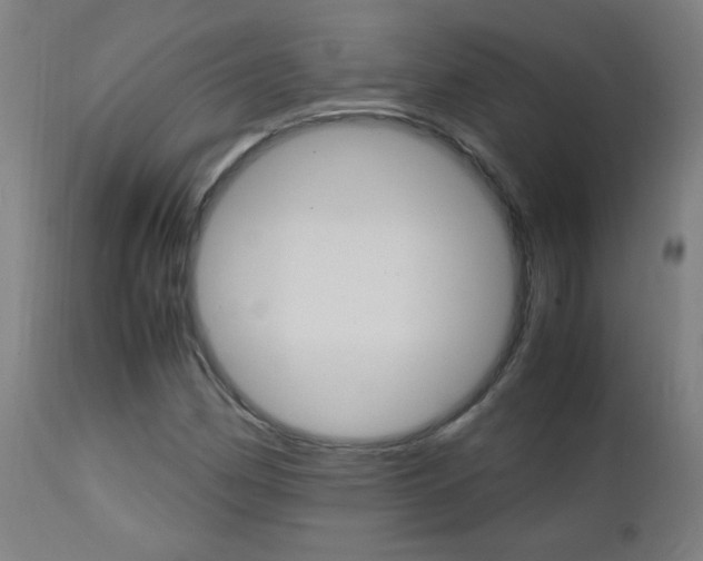 X0000112971162200908270936
