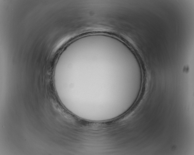 X0000112971163200908270936